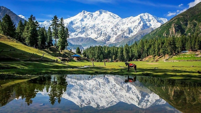 Diamer