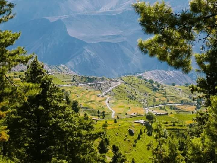 Chongra Meadows Astore