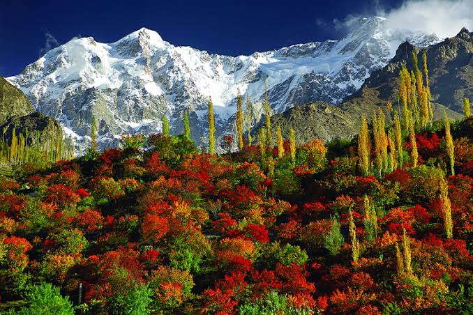 Nagar Khas in Nagar Gilgit-Baltistan