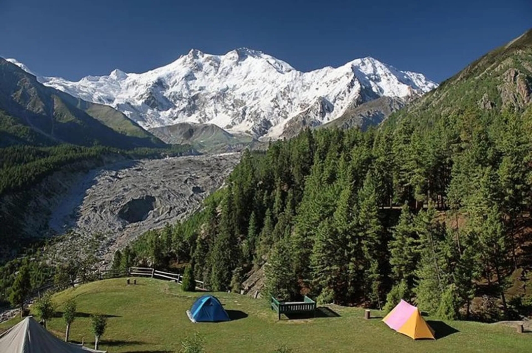 Fairy Meadows in Diamer Gilgit-Baltistan